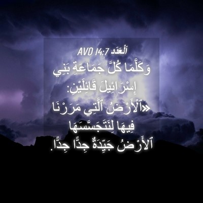 Picture 04 - اَلْعَدَد 14:7 AVD - وَكَلَّمَا كُلَّ - Bible Verse Picture
