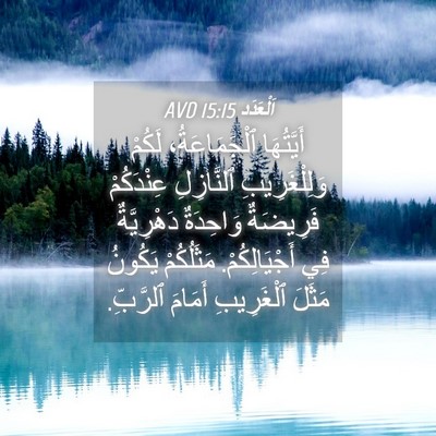 Picture 04 - اَلْعَدَد 15:15 AVD - أَيَّتُهَا ٱلْجَمَاعَةُ، - Bible Verse Picture
