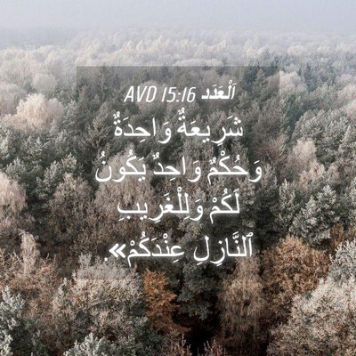 Picture 04 - اَلْعَدَد 15:16 AVD - شَرِيعَةٌ وَاحِدَةٌ - Bible Verse Picture