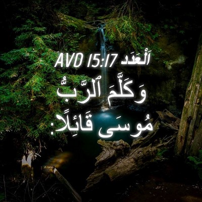 Picture 04 - اَلْعَدَد 15:17 AVD - وَكَلَّمَ ٱلرَّبُّ مُوسَى - Bible Verse Picture