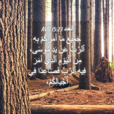 Picture 04 - اَلْعَدَد 15:23 AVD - جَمِيعَ مَا أَمَرَكُمْ - Bible Verse Picture