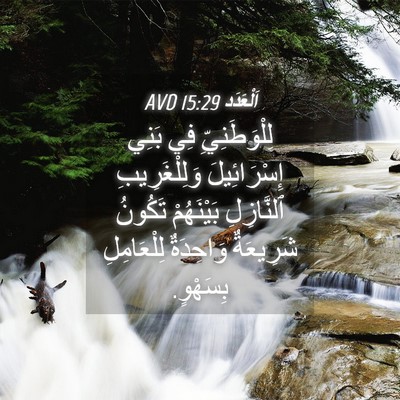 Picture 04 - اَلْعَدَد 15:29 AVD - لِلْوَطَنِيِّ فِي بَنِي - Bible Verse Picture