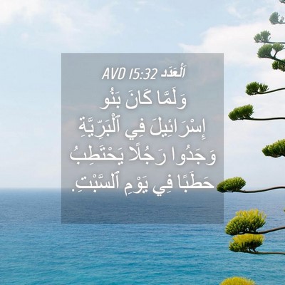 Picture 04 - اَلْعَدَد 15:32 AVD - وَلَمَّا كَانَ بَنُو - Bible Verse Picture