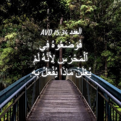 Picture 04 - اَلْعَدَد 15:34 AVD - فَوَضَعُوهُ فِي - Bible Verse Picture