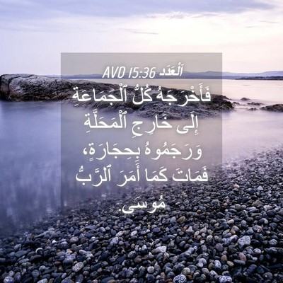 Picture 04 - اَلْعَدَد 15:36 AVD - فَأَخْرَجَهُ كُلُّ - Bible Verse Picture