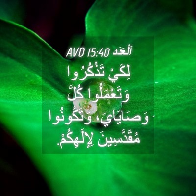 Picture 04 - اَلْعَدَد 15:40 AVD - لِكَيْ تَذْكُرُوا - Bible Verse Picture