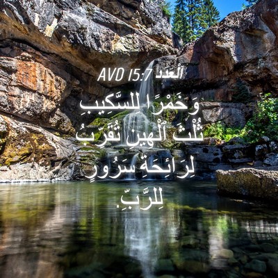 Picture 04 - اَلْعَدَد 15:7 AVD - وَخَمْرًا لِلسَّكِيبِ - Bible Verse Picture