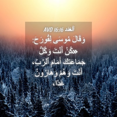 Picture 04 - اَلْعَدَد 16:16 AVD - وَقَالَ مُوسَى لِقُورَحَ: - Bible Verse Picture