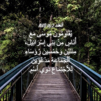 Picture 04 - اَلْعَدَد 16:2 AVD - يُقَاوِمُونَ مُوسَى مَعَ - Bible Verse Picture