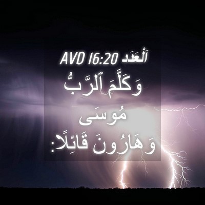 Picture 04 - اَلْعَدَد 16:20 AVD - وَكَلَّمَ ٱلرَّبُّ مُوسَى - Bible Verse Picture