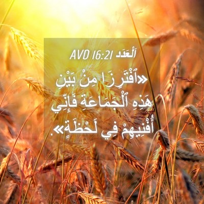 Picture 04 - اَلْعَدَد 16:21 AVD - «ٱفْتَرِزَا مِنْ بَيْنِ - Bible Verse Picture