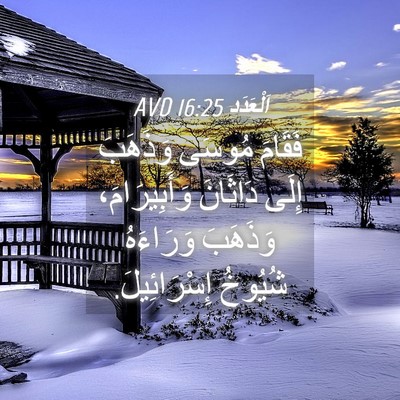 Picture 04 - اَلْعَدَد 16:25 AVD - فَقَامَ مُوسَى وَذَهَبَ - Bible Verse Picture