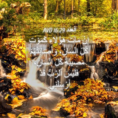 Picture 04 - اَلْعَدَد 16:29 AVD - إِنْ مَاتَ هَؤُلَاءِ - Bible Verse Picture