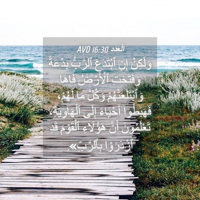 Picture 04 - اَلْعَدَد 16:30 AVD - وَلَكِنْ إِنِ ٱبْتَدَعَ - Bible Verse Picture