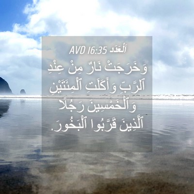 Picture 04 - اَلْعَدَد 16:35 AVD - وَخَرَجَتْ نَارٌ مِنْ - Bible Verse Picture