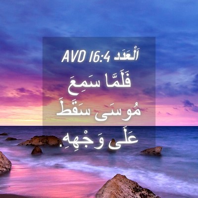 Picture 04 - اَلْعَدَد 16:4 AVD - فَلَمَّا سَمِعَ مُوسَى - Bible Verse Picture