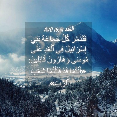 Picture 04 - اَلْعَدَد 16:41 AVD - فَتَذَمَّرَ كُلُّ - Bible Verse Picture