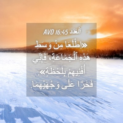 Picture 04 - اَلْعَدَد 16:45 AVD - «اِطْلَعَا مِنْ وَسَطِ - Bible Verse Picture