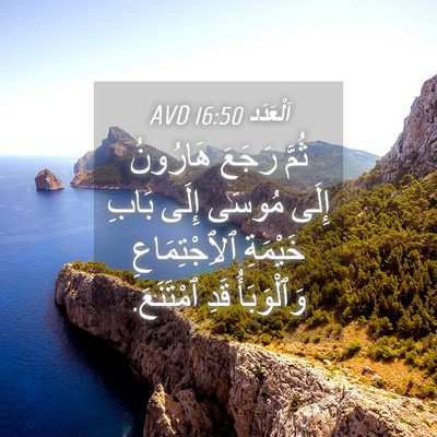Picture 04 - اَلْعَدَد 16:50 AVD - ثُمَّ رَجَعَ هَارُونُ - Bible Verse Picture