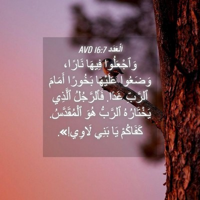 Picture 04 - اَلْعَدَد 16:7 AVD - وَٱجْعَلُوا فِيهَا - Bible Verse Picture