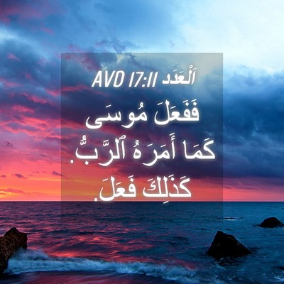 Picture 04 - اَلْعَدَد 17:11 AVD - فَفَعَلَ مُوسَى كَمَا - Bible Verse Picture