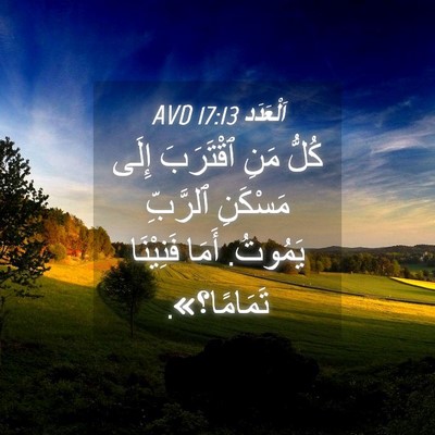 Picture 04 - اَلْعَدَد 17:13 AVD - كُلُّ مَنِ ٱقْتَرَبَ إِلَى - Bible Verse Picture