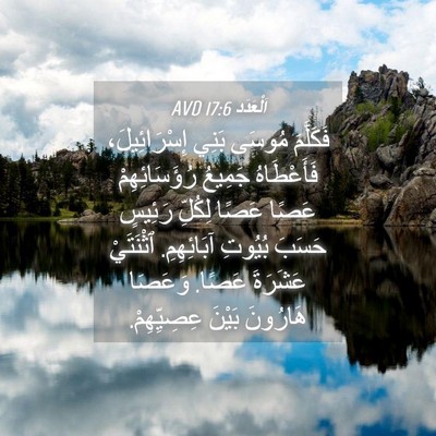 Picture 04 - اَلْعَدَد 17:6 AVD - فَكَلَّمَ مُوسَى بَنِي - Bible Verse Picture