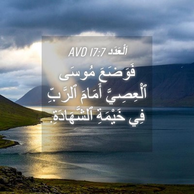 Picture 04 - اَلْعَدَد 17:7 AVD - فَوَضَعَ مُوسَى - Bible Verse Picture