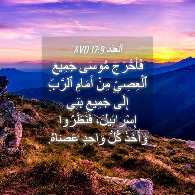 Picture 04 - اَلْعَدَد 17:9 AVD - فَأَخْرَجَ مُوسَى جَمِيعَ - Bible Verse Picture