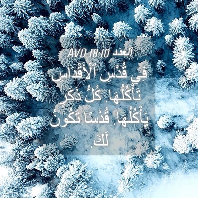 Picture 04 - اَلْعَدَد 18:10 AVD - فِي قُدْسِ ٱلْأَقْدَاسِ - Bible Verse Picture