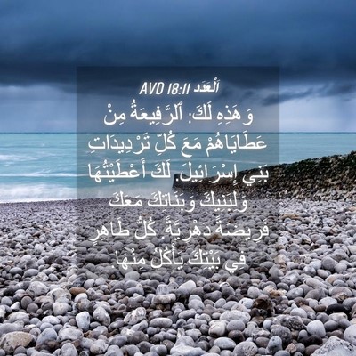 Picture 04 - اَلْعَدَد 18:11 AVD - وَهَذِهِ لَكَ: - Bible Verse Picture