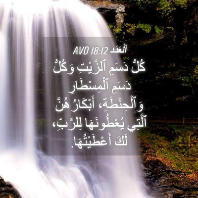 Picture 04 - اَلْعَدَد 18:12 AVD - كُلُّ دَسَمِ ٱلزَّيْتِ - Bible Verse Picture