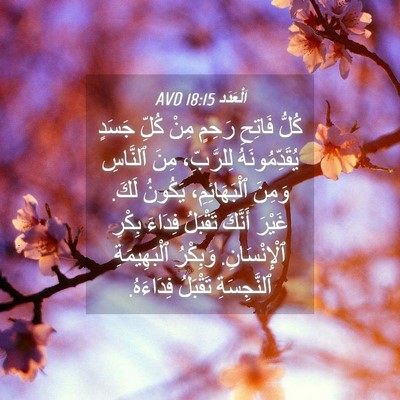 Picture 04 - اَلْعَدَد 18:15 AVD - كُلُّ فَاتِحِ رَحِمٍ مِنْ - Bible Verse Picture