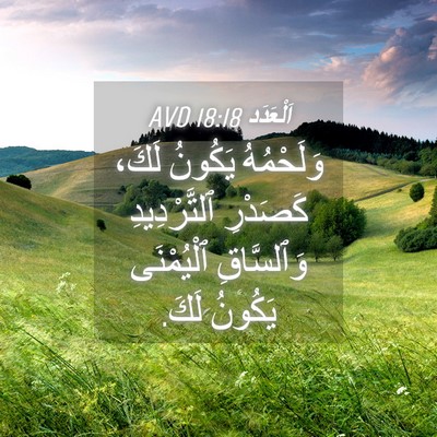 Picture 04 - اَلْعَدَد 18:18 AVD - وَلَحْمُهُ يَكُونُ لَكَ، - Bible Verse Picture