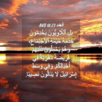 Picture 04 - اَلْعَدَد 18:23 AVD - بَلِ ٱللَّاوِيُّونَ - Bible Verse Picture