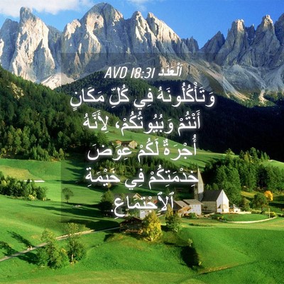 Picture 04 - اَلْعَدَد 18:31 AVD - وَتَأْكُلُونَهُ فِي كُلِّ - Bible Verse Picture
