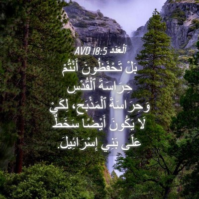 Picture 04 - اَلْعَدَد 18:5 AVD - بَلْ تَحْفَظُونَ أَنْتُمْ - Bible Verse Picture