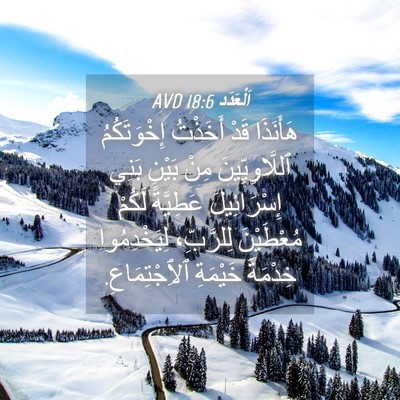 Picture 04 - اَلْعَدَد 18:6 AVD - هَأَنَذَا قَدْ أَخَذْتُ - Bible Verse Picture