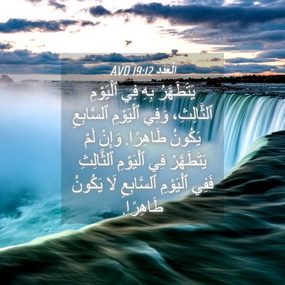 Picture 04 - اَلْعَدَد 19:12 AVD - يَتَطَهَّرُ بِهِ فِي - Bible Verse Picture