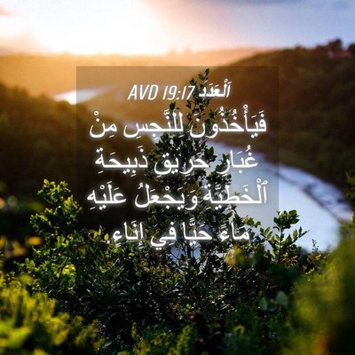 Picture 04 - اَلْعَدَد 19:17 AVD - فَيَأْخُذُونَ لِلنَّجِسِ - Bible Verse Picture