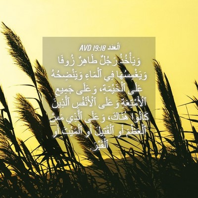 Picture 04 - اَلْعَدَد 19:18 AVD - وَيَأْخُذُ رَجُلٌ طَاهِرٌ - Bible Verse Picture