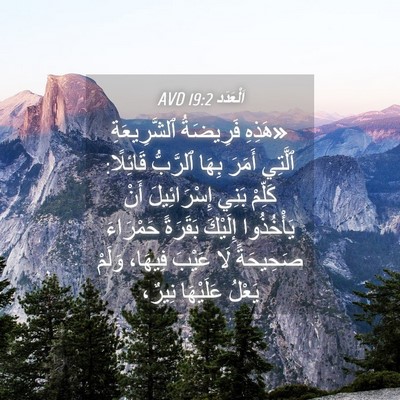 Picture 04 - اَلْعَدَد 19:2 AVD - «هَذِهِ فَرِيضَةُ - Bible Verse Picture