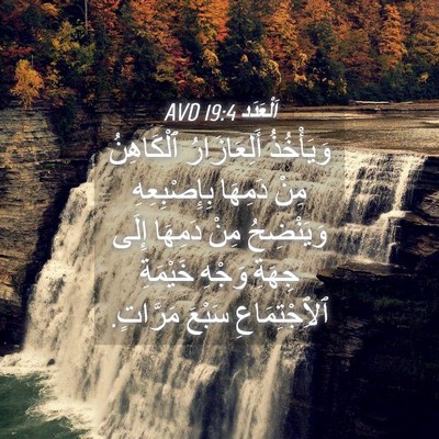 Picture 04 - اَلْعَدَد 19:4 AVD - وَيَأْخُذُ أَلِعَازَارُ - Bible Verse Picture