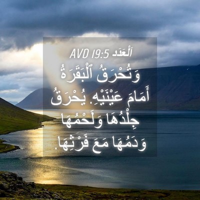 Picture 04 - اَلْعَدَد 19:5 AVD - وَتُحْرَقُ ٱلْبَقَرَةُ - Bible Verse Picture