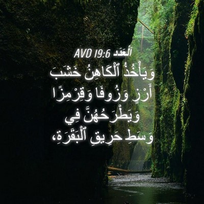 Picture 04 - اَلْعَدَد 19:6 AVD - وَيَأْخُذُ ٱلْكَاهِنُ - Bible Verse Picture