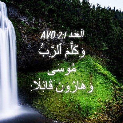Picture 04 - اَلْعَدَد 2:1 AVD - وَكَلَّمَ ٱلرَّبُّ مُوسَى - Bible Verse Picture