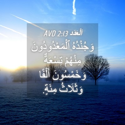 Picture 04 - اَلْعَدَد 2:13 AVD - وَجُنْدُهُ - Bible Verse Picture