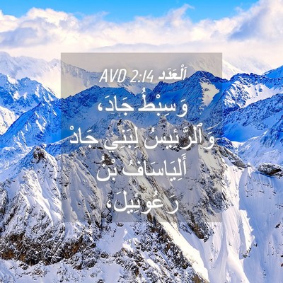 Picture 04 - اَلْعَدَد 2:14 AVD - وَسِبْطُ جَادَ، - Bible Verse Picture
