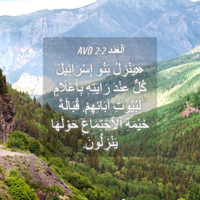 Picture 04 - اَلْعَدَد 2:2 AVD - «يَنْزِلُ بَنُو - Bible Verse Picture