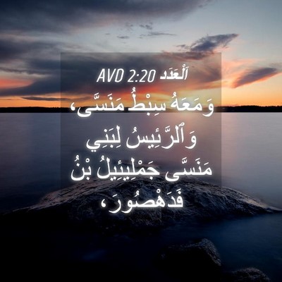 Picture 04 - اَلْعَدَد 2:20 AVD - وَمَعَهُ سِبْطُ مَنَسَّى، - Bible Verse Picture